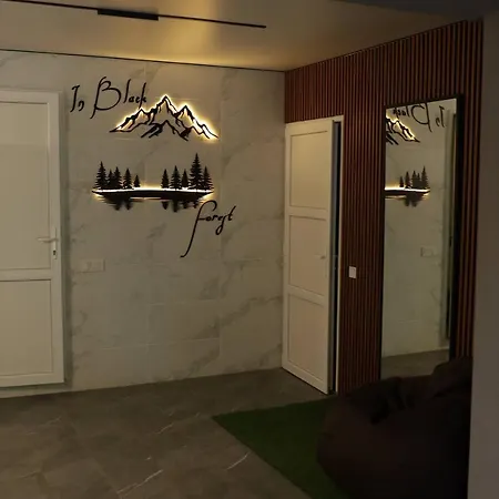 In Black Forest Apartment