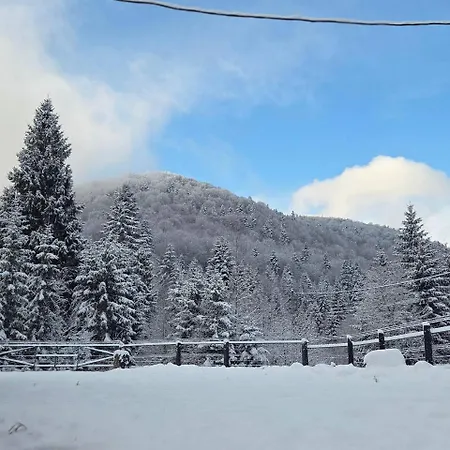 In Black Forest Guta