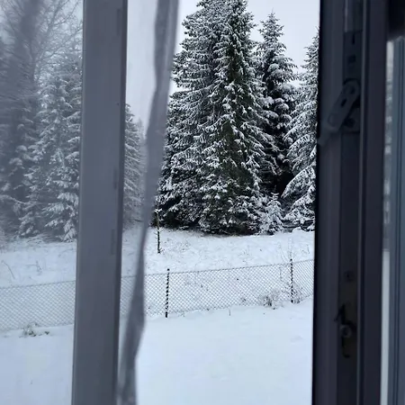 In Black Forest *