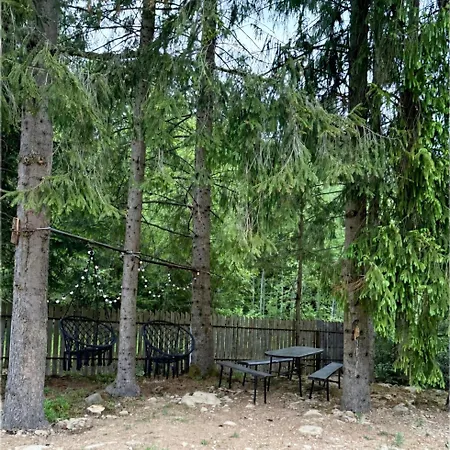 In Black Forest *