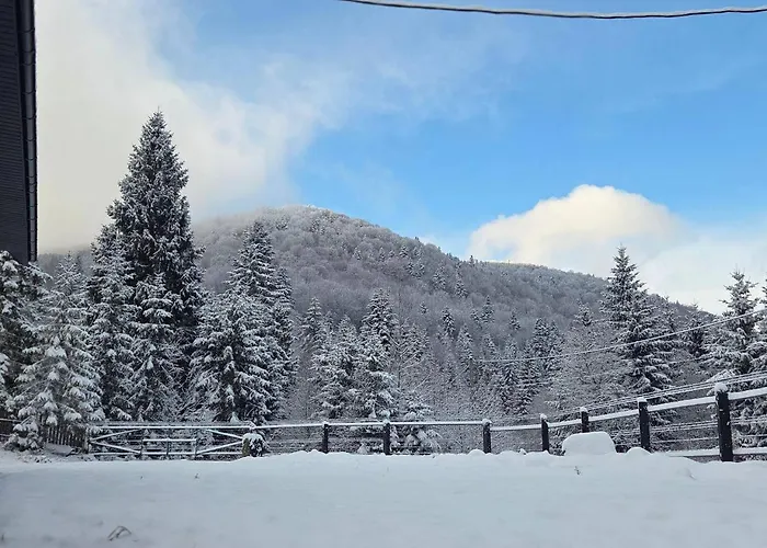 In Black Forest Guta