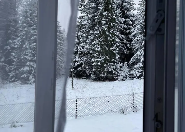 In Black Forest *